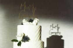 Gil & Sarah's Wedding 0684